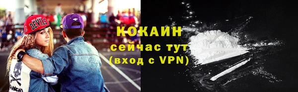 стаф Ростов
